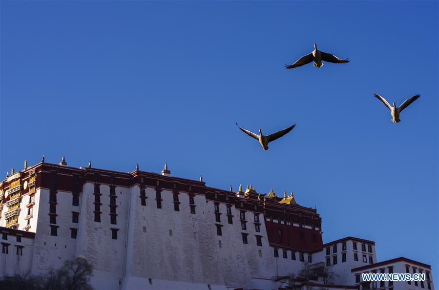 CHINA-TIBET-LHASA-DRAGON KING POOL PARK (CN)