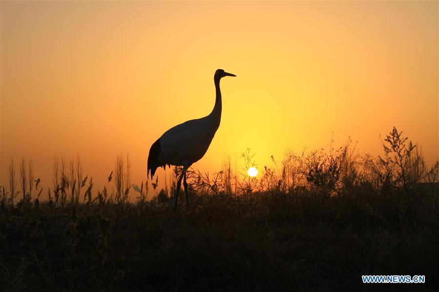 #CHINA-NEW YEAR-SUNRISE (CN)