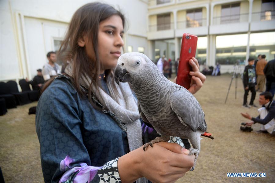 PAKISTAN-PESHAWAR-PET SHOW