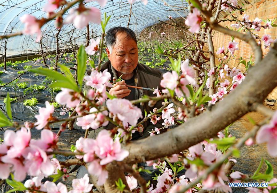 CHINA-HEBEI-QIANAN-AGRICULTURE (CN)