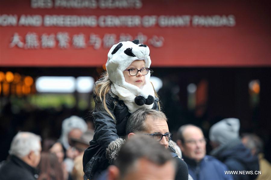 FRANCE-SAINT-AIGNAN-ZOOPARC DE BEAUVAL-PANDA BABY-YUAN MENG