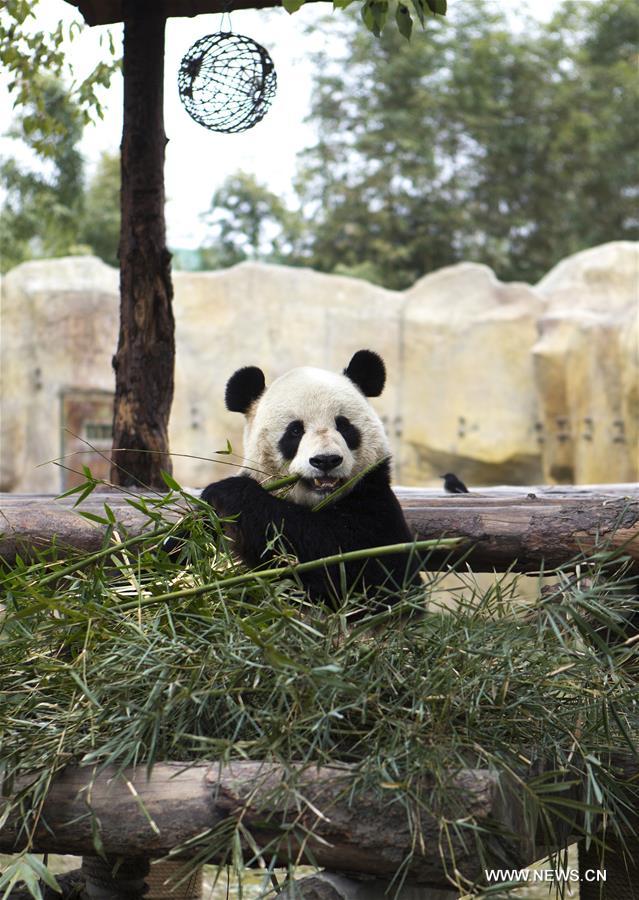 CHINA-WINTER-ANIMAL(CN)