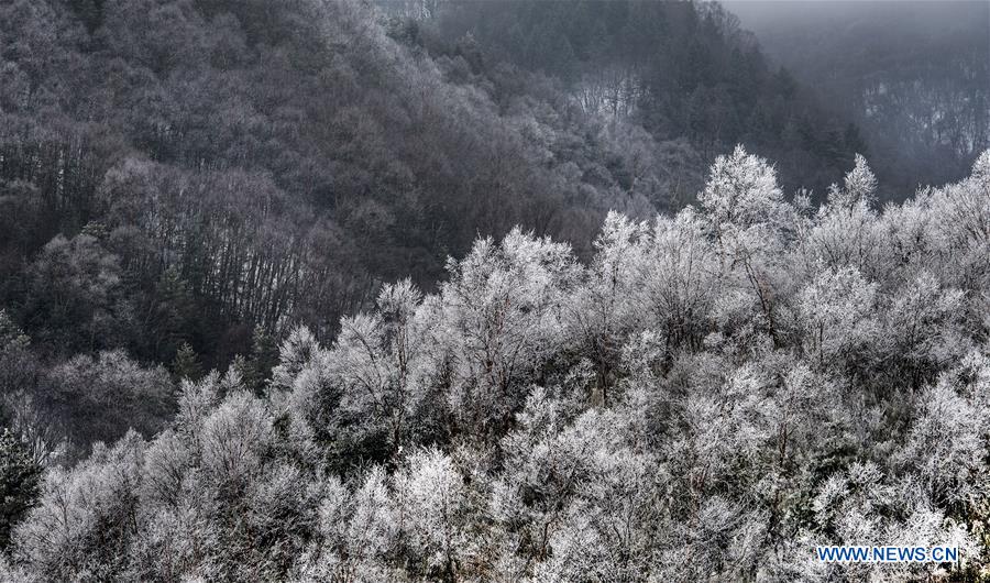 CHINA-SHAANXI-PINGLI-SCENERY (CN)