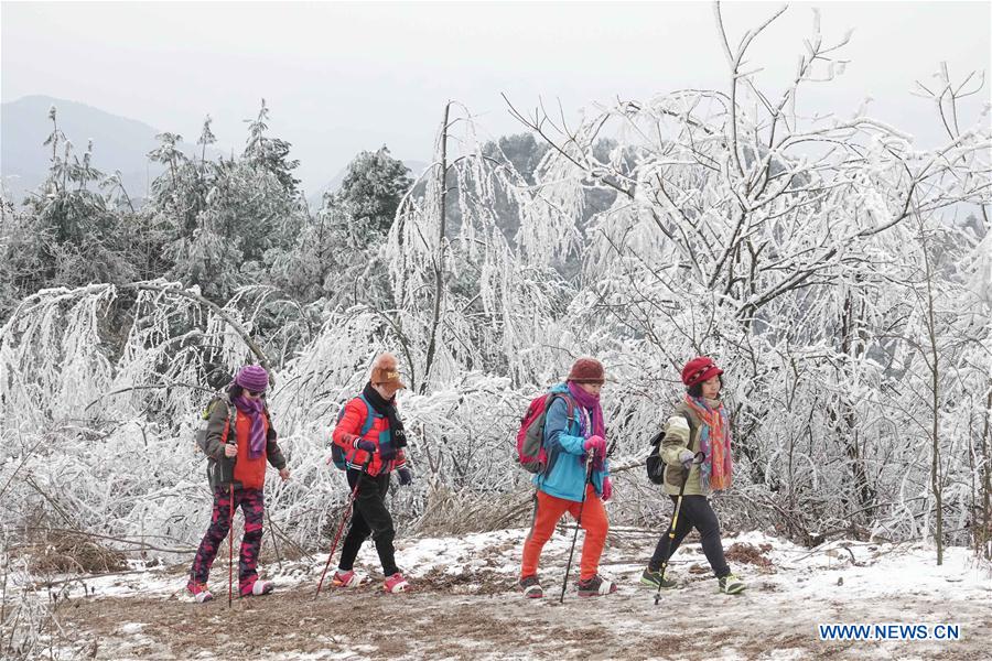 #CHINA-GUIYANG-FROST SCENERY (CN)