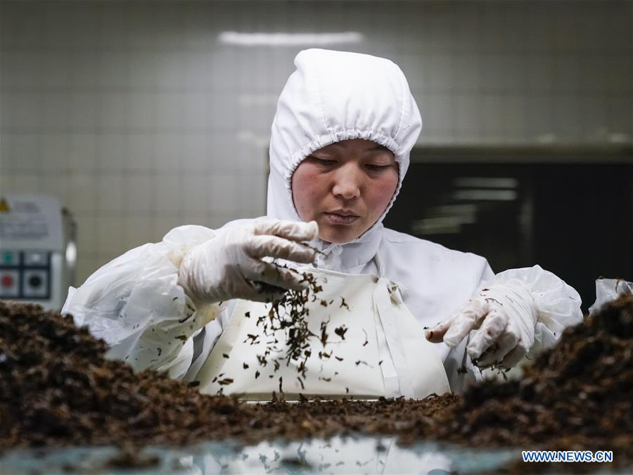 CHINA-HIGH-SPEED TRAIN-SET MEALS-MAKING (CN)