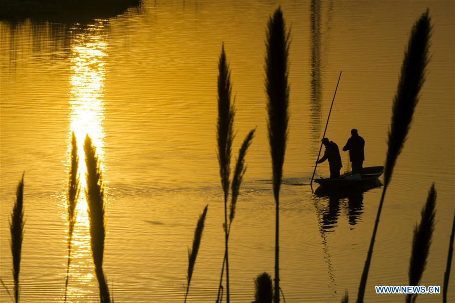 #CHINA-JIANGSU-HAI'AN-FISHING (CN)