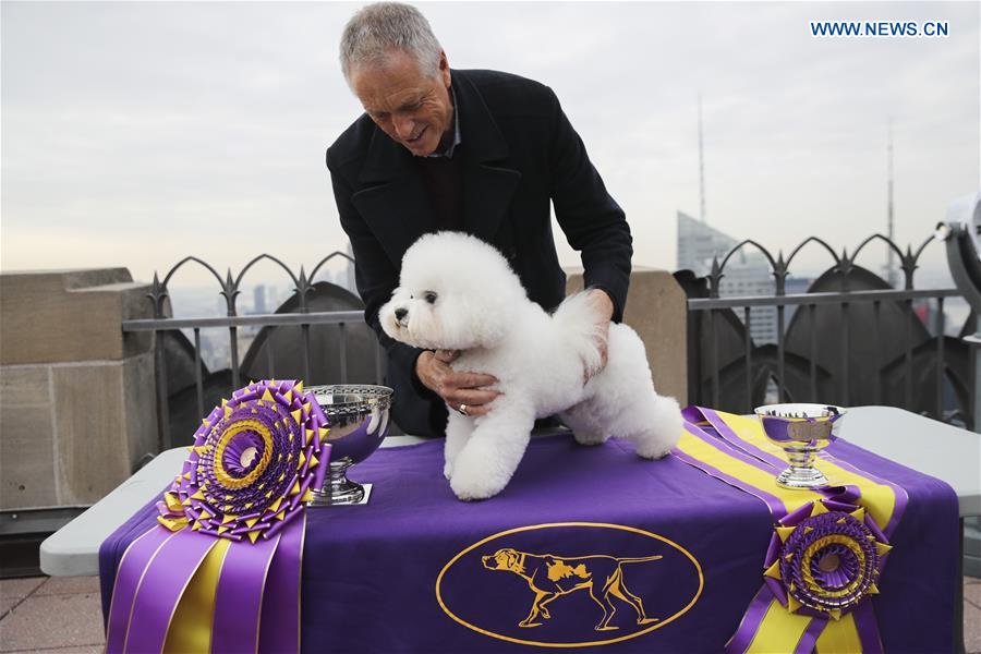 U.S.-NEW YORK-ROCKEFELLER CENTER-WESTMINSTER KENNEL CLUB DOG SHOW-FLYNN-BEST IN SHOW