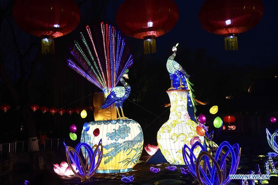 CHINA-SHANDONG-SPRING FESTIVAL-LANTERN FAIR (CN)