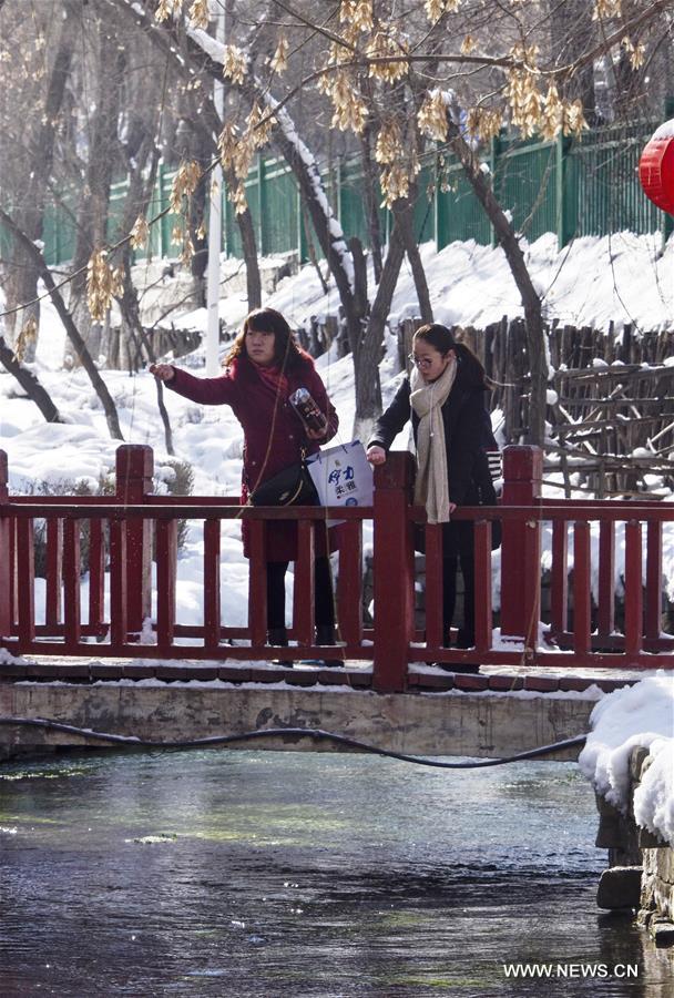 CHINA-XINJIANG-SNOWY SCENERY(CN)