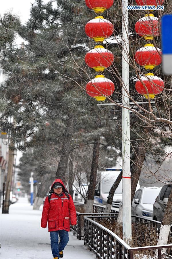 CHINA-JILIN-CHANGCHUN-SNOWFALL (CN)