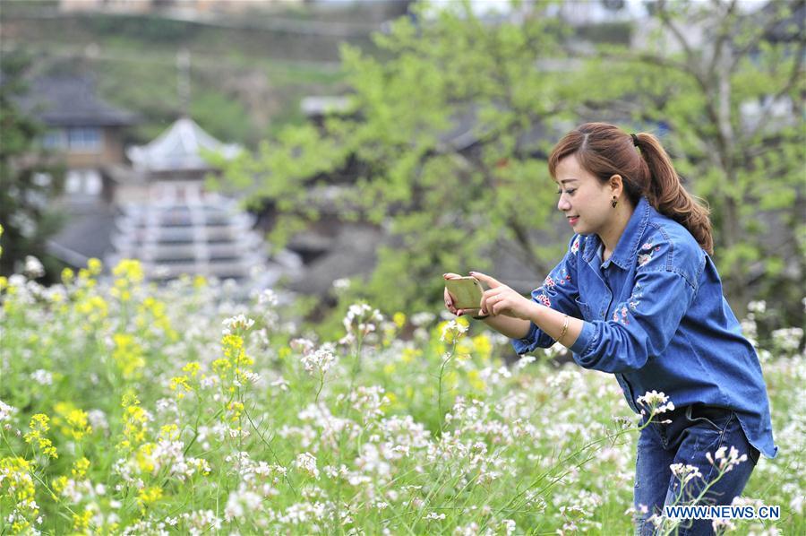 #CHINA-SPRING-SCENERY (CN)