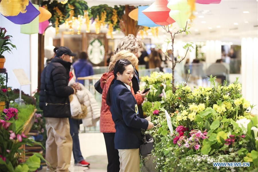 U.S.-NEW YORK-MACY'S FLOWER SHOW