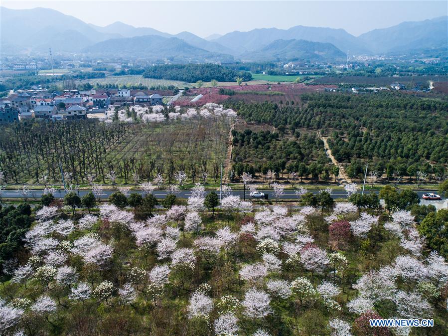 CHINA-ZHEJIANG-RURAL AREA-INFRASTRUCTURE-CONSTRUCTION (CN)