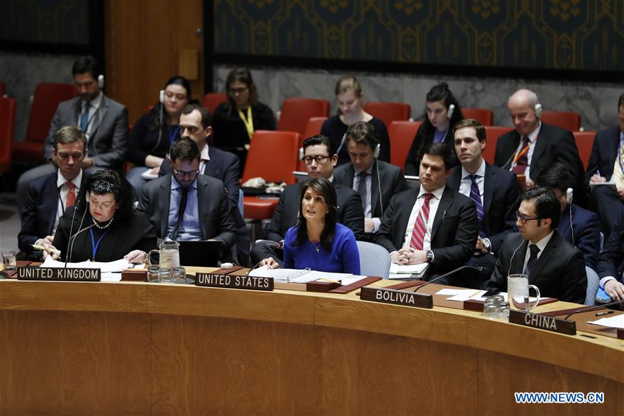 UN-SECURITY COUNCIL-MEETING-SYRIA