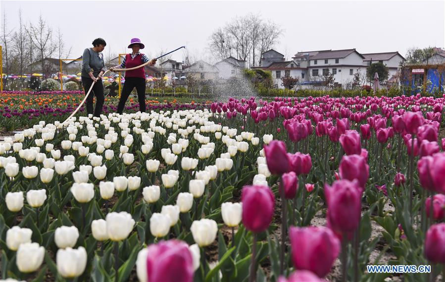 CHINA-SHAANXI-HANZHONG-FLOWER ECONOMY (CN)