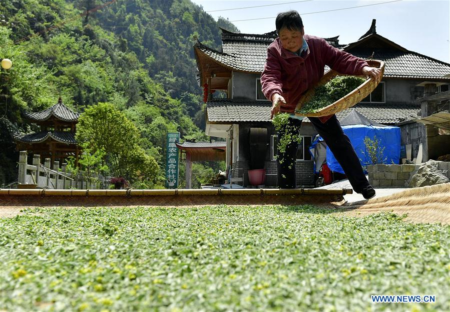 #CHINA-HUBEI-ENSHI-LOCAL SNACK (CN)