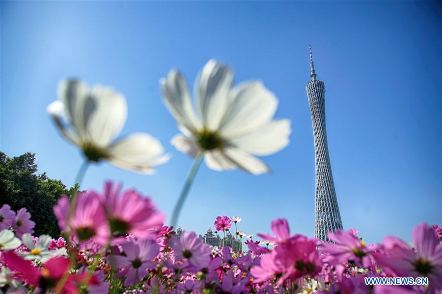 CHINA-GUANGZHOU-SPRING VIEWS (CN)