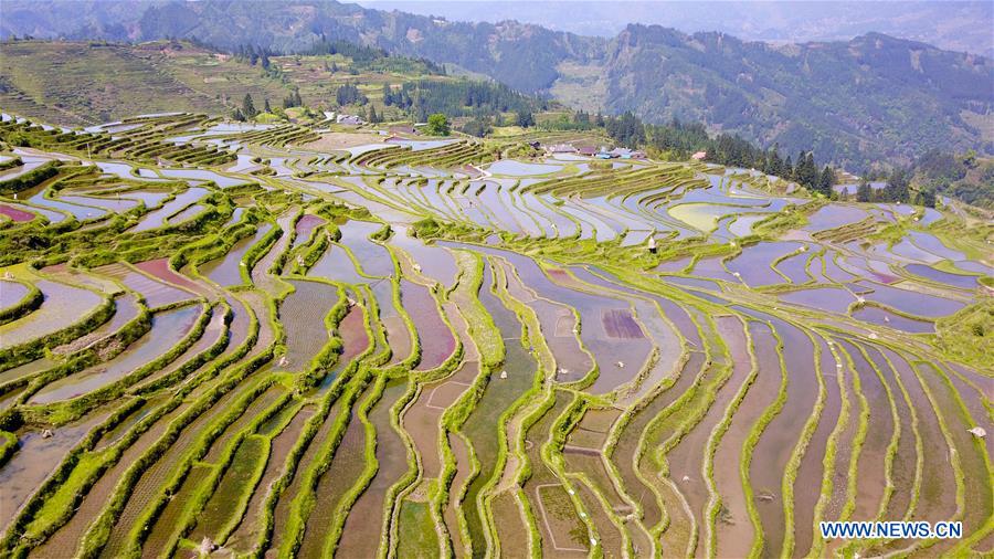 #CHINA-CONGJIANG-TERRACED FIELDS-WORKING(CN)