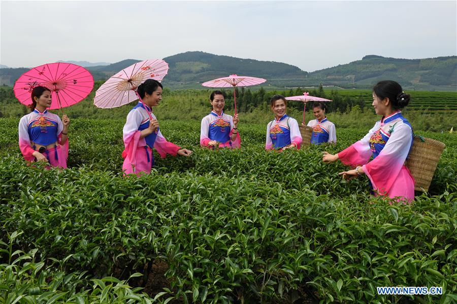 CHINA-FUJIAN-JIAN'OU-TEA GARDEN-TOURISM