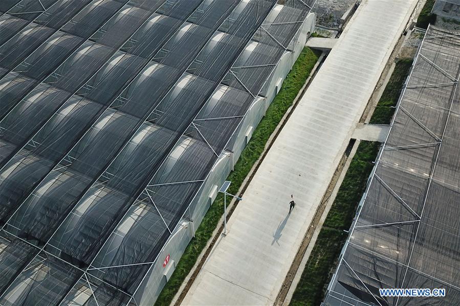 CHINA-GUIZHOU-FARM WORK (CN)