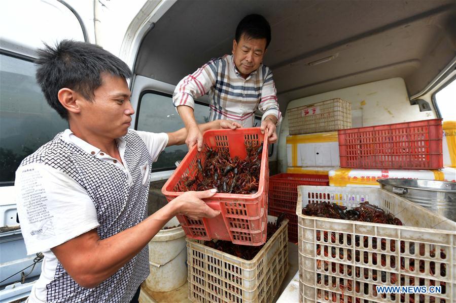 CHINA-NANCHANG-CRAYFISH (CN)