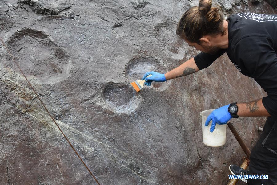 #CHINA-BEIJING-DINOSAUR FOOTPRINTS-PRESERVATION (CN*)