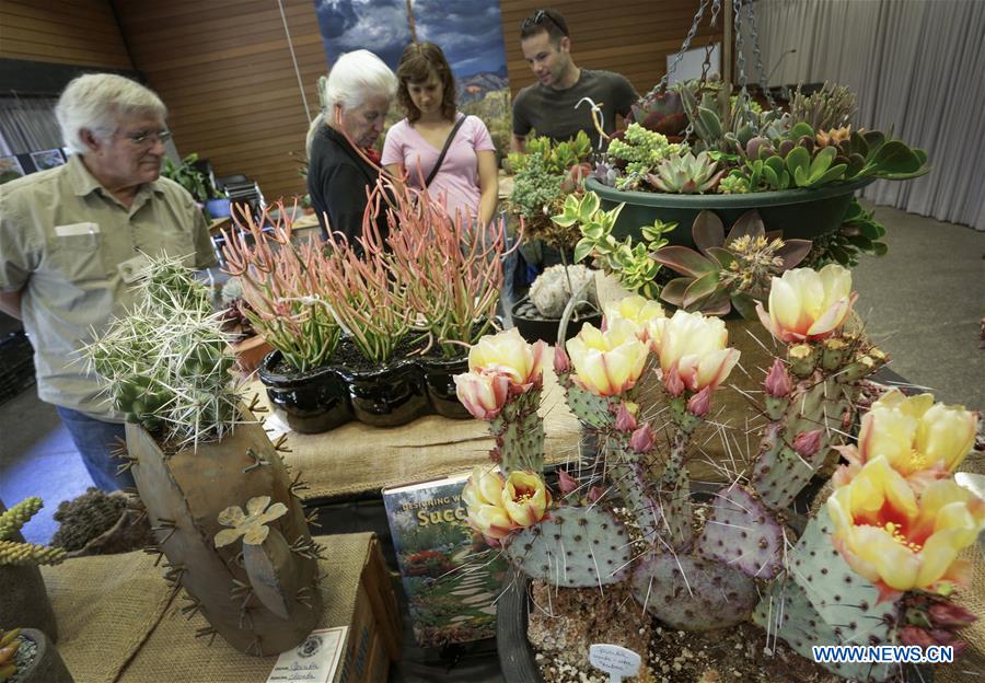 CANADA-VANCOUVER-DESERT PLANT SHOW