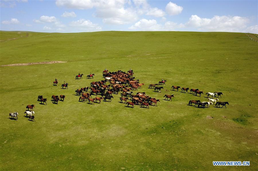 CHINA-GANSU-SHANDAN HORSE RANCH-SCENERY (CN)