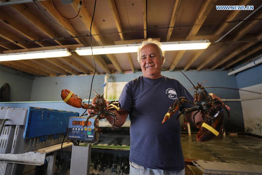 Xinhua Headlines: Tariff conflict with China raises alarm in lobster industry in U.S. state