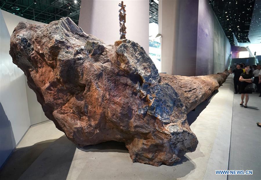 CHINA-WUHAN-NATURAL HISTORY MUSEUM (CN)