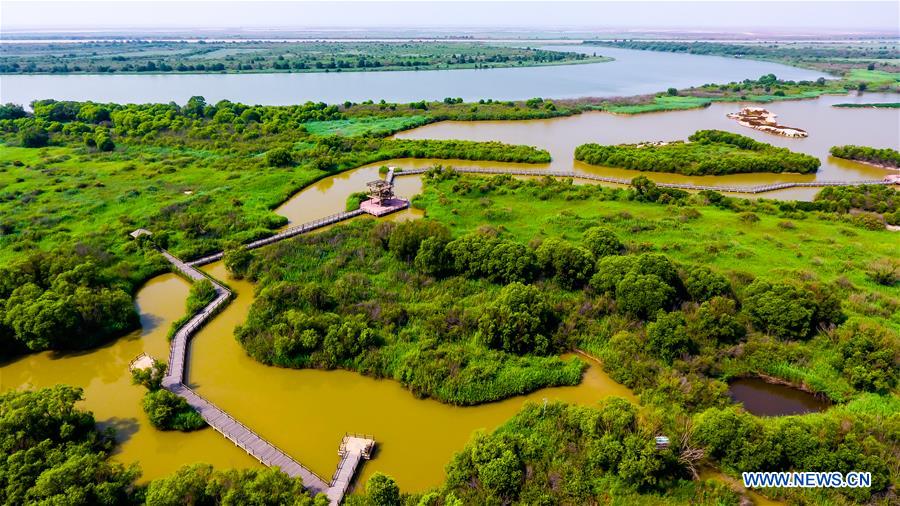 CHINA-SHANDONG-DONGYING-AERIAL VIEW (CN)