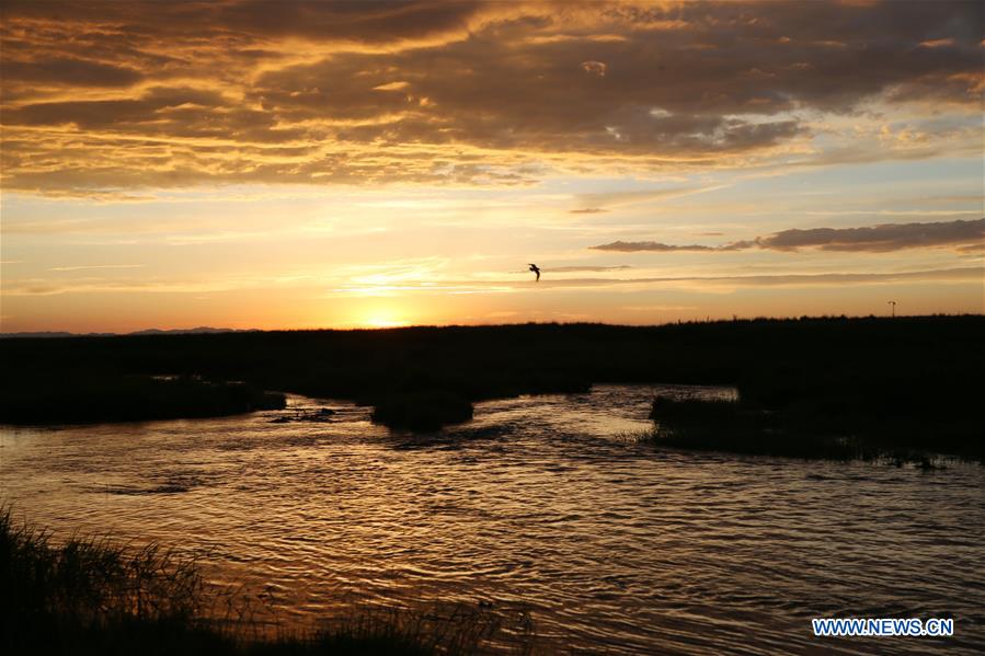 #CHINA-XINJIANG-GAOJIAHU WETLAND-SCENERY (CN*)