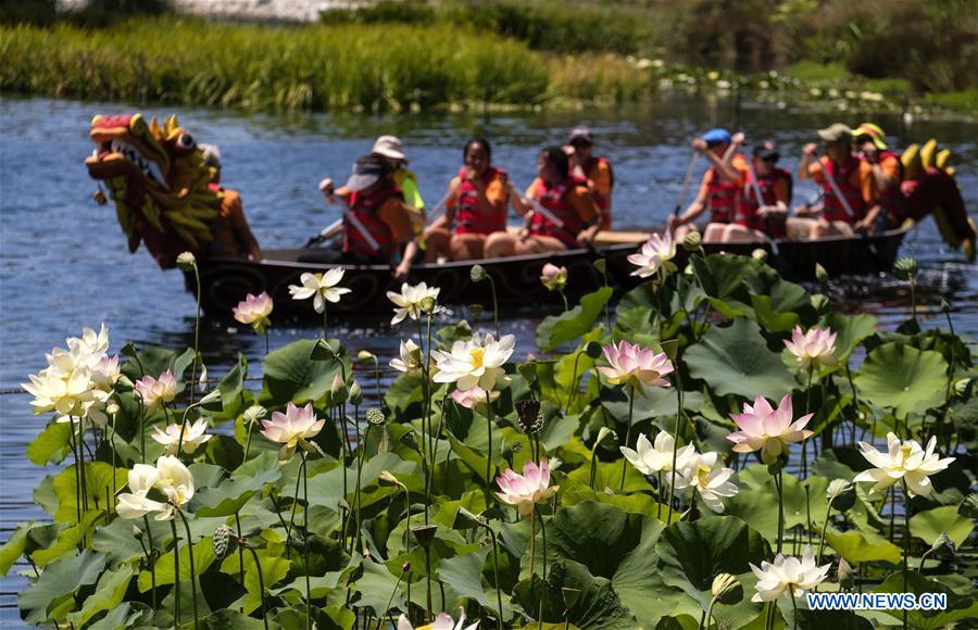 U.S.-LOS ANGELES-LOTUS FESTIVAL