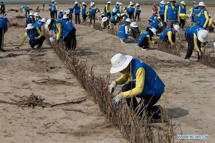 CHINA-INNER MONGOLIA-COLLEGE VOLUNTEER-DESERT CONTROL (CN)