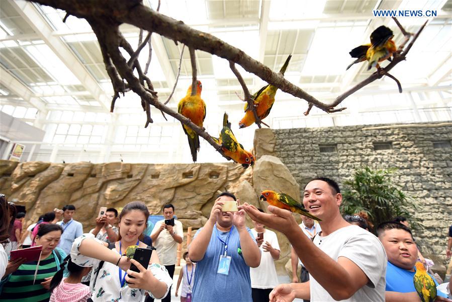 #CHINA-SHANDONG-RIZHAO-OCEAN CARNIVAL (CN)