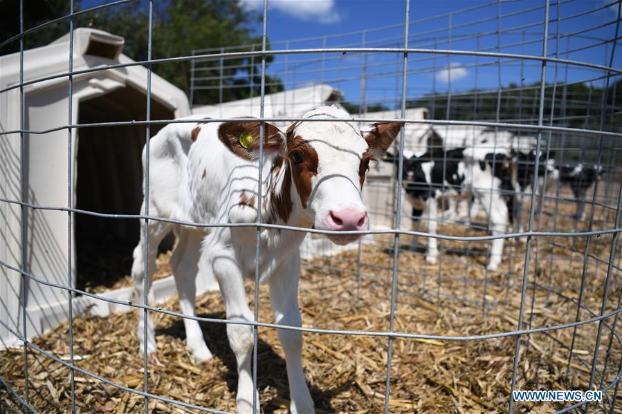 U.S.-WISCONSIN-DAIRY FARM-TARIFF