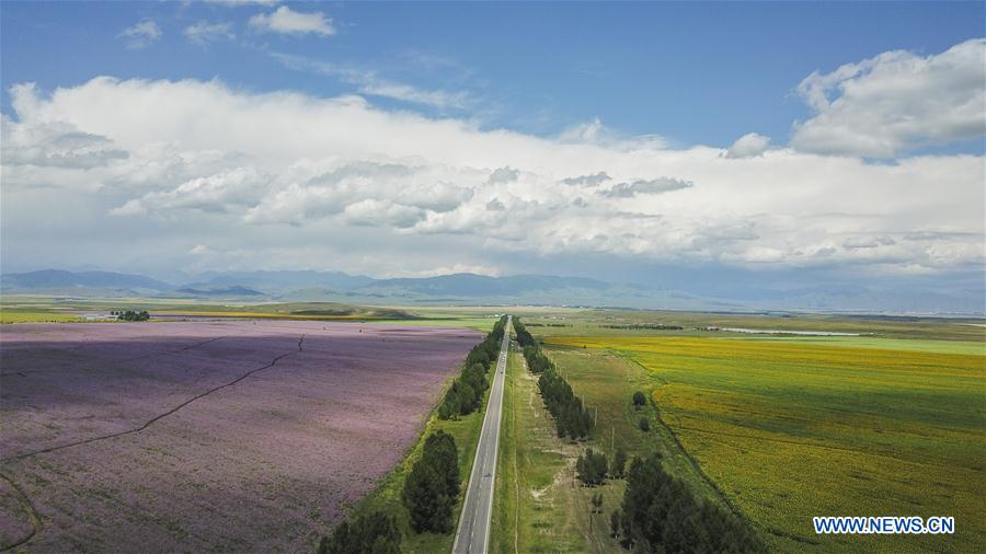 CHINA-XINJIANG-ROAD CONSTRUCTION (CN)