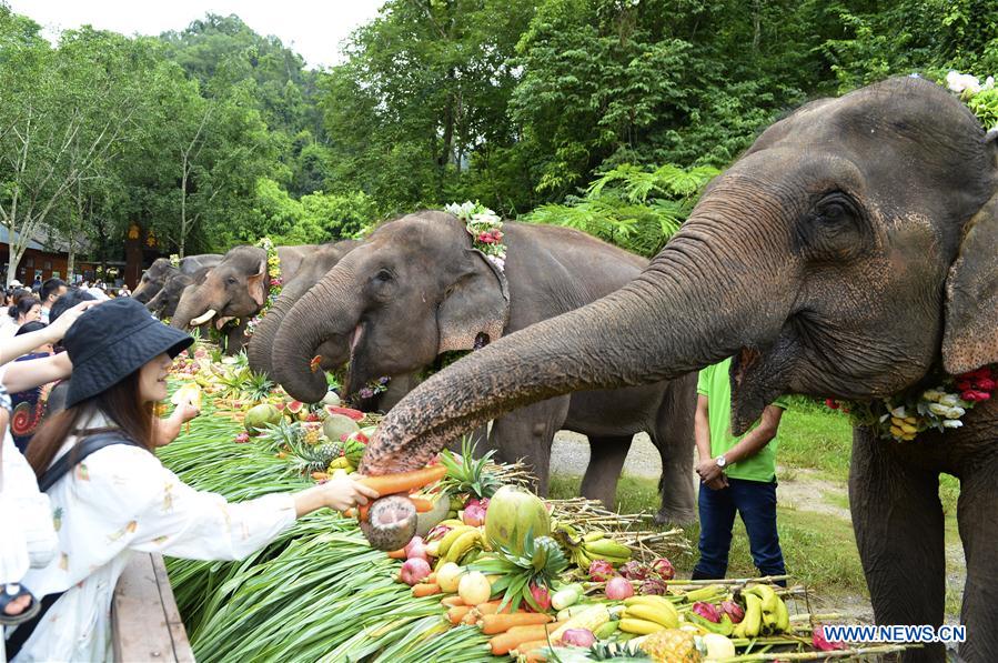 CHINA-YUNNAN-XISHUANGBANNA-WORLD ELEPHANT DAY (CN)