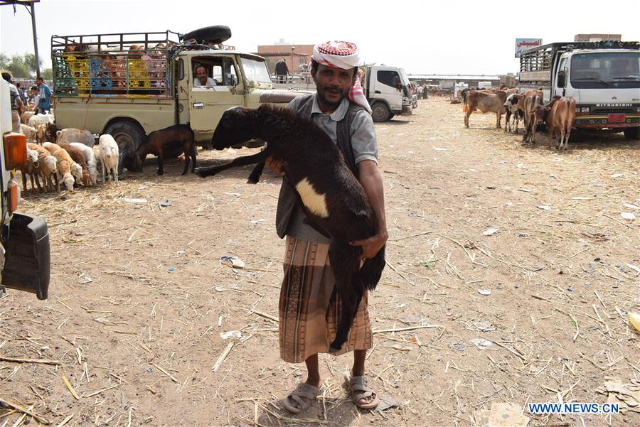 YEMEN-ADEN-EID AL-ADHA-LIVESTOCK MARKET