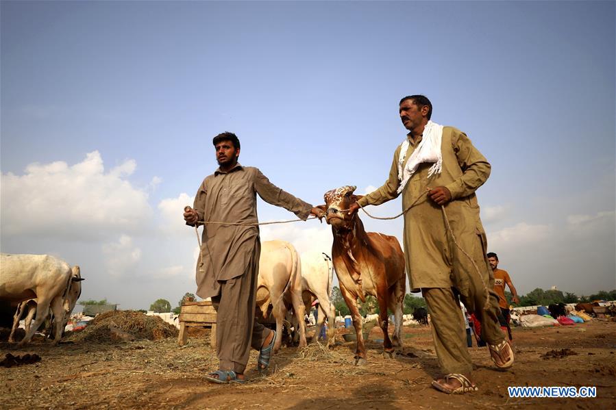 PAKISTAN-ISLAMABAD-EID AL-ADHA-LIVESTOCK MARKET