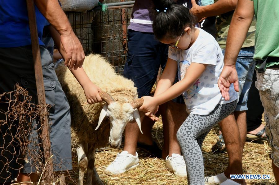 TUNISIA-TUNIS-EID AL-ADHA-LIVESTOCK MARKET 