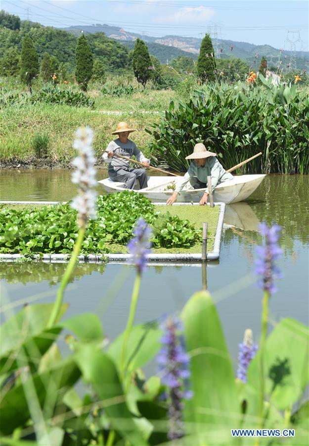 CHINA-ZHEJIANG-AQUACULTURE-WATER PURIFYING (CN)