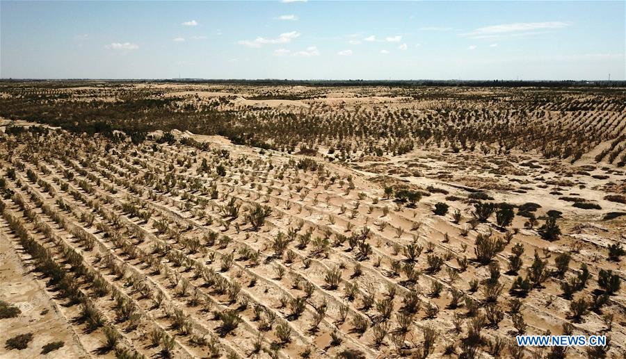 CHINA-GANSU-DESERTIFICATION COMBAT-AFRICAN STUDENT (CN)