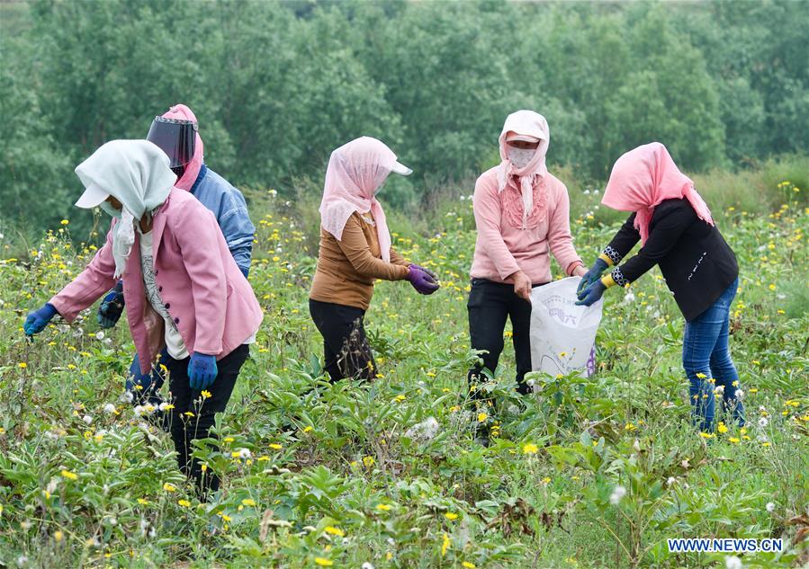 CHINA-NINGXIA-GUYUAN-POVERTY RELIEF (CN)