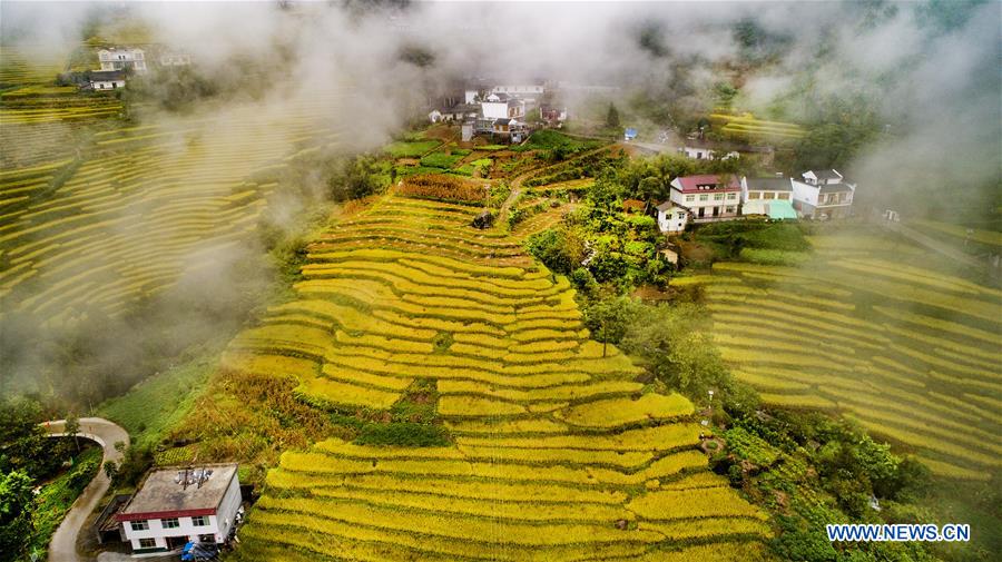 CHINA-SHAANXI-TERRACED FIELDS (CE)