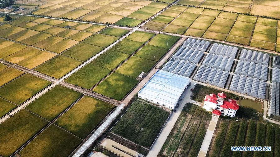 CHINA-ANHUI-XIAOGANG VILLAGE-AERIAL VIEW (CN)