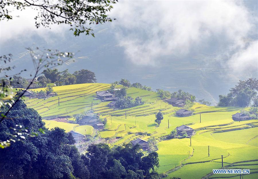 VIETNAM-HA GIANG-TERRACE-SCENERY