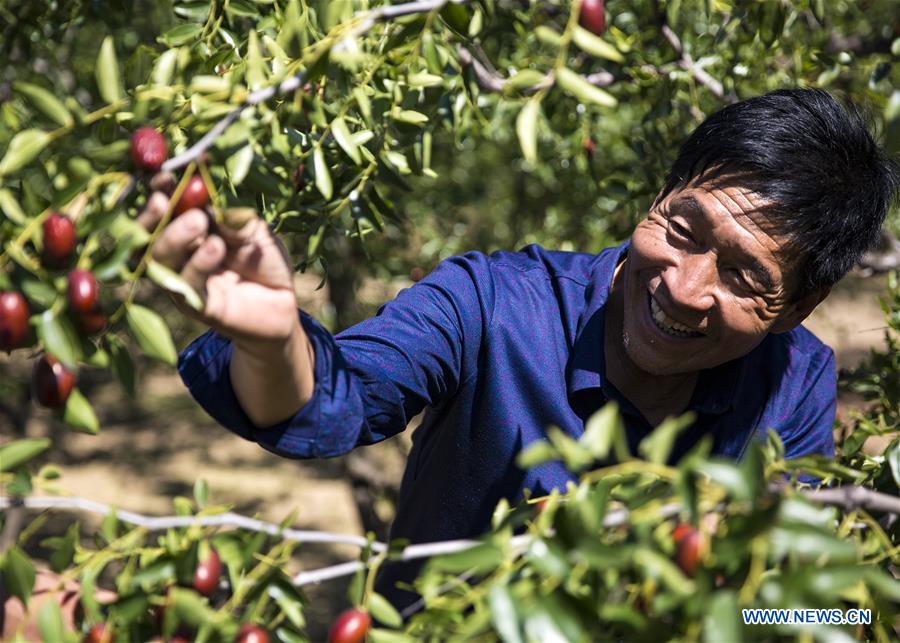 #CHINA-AUTUMN-HARVEST (CN)