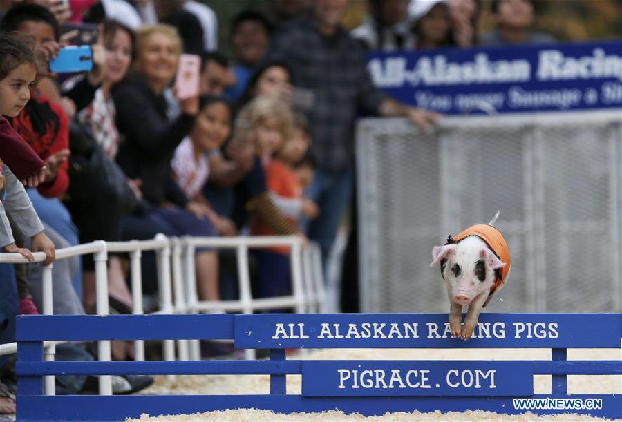 U.S.-LOS ANGELES-PIGGY-RACE