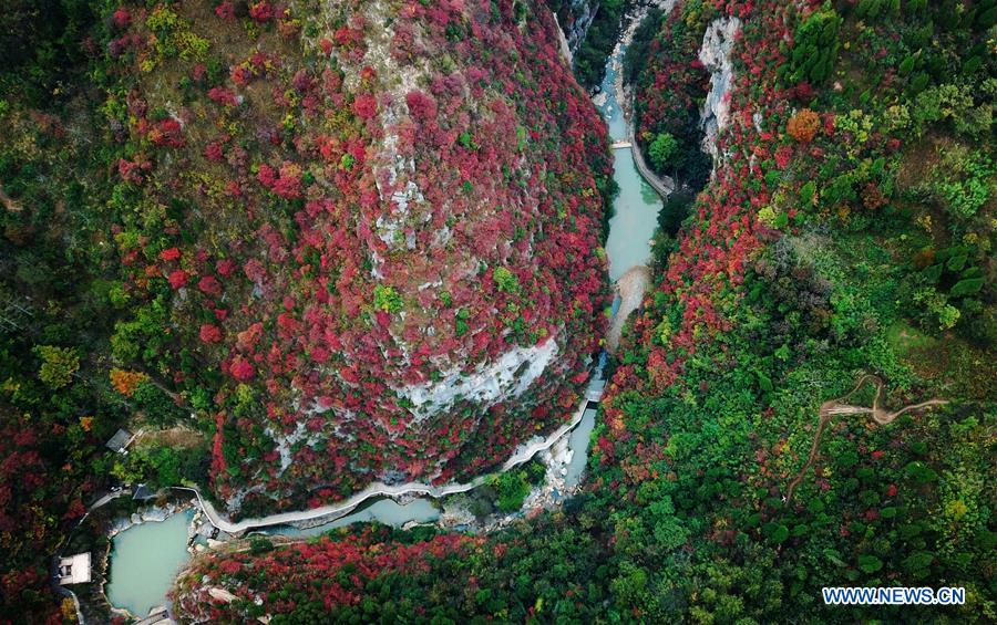 CHINA-GANSU-LONGNAN-AUTUMN-SCENERY (CN)